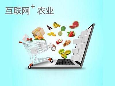 網紅帶貨日入四萬 如何將流量轉化為可持續的財富？