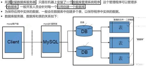 MySQL 數(shù)據(jù)處理與存儲支持服務(wù) 構(gòu)建高效可靠的數(shù)據(jù)管理方案